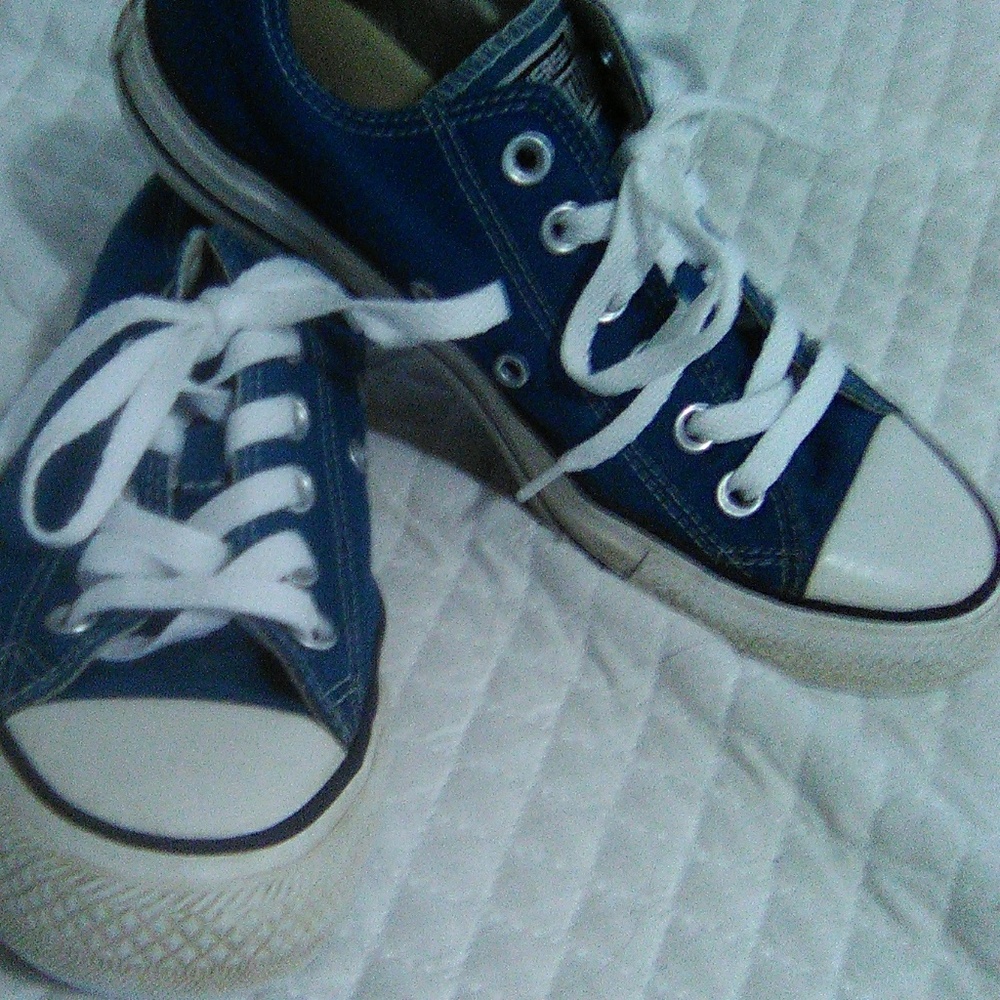Teal converse